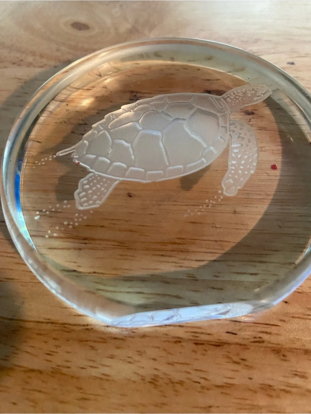 Clear Turtle Paperweight Signed David Alan